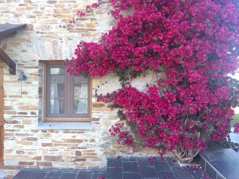 Casa Crisanta Villa Lomba Exteriör bild
